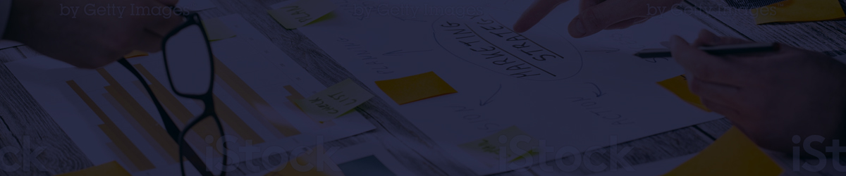 News Letter Designing